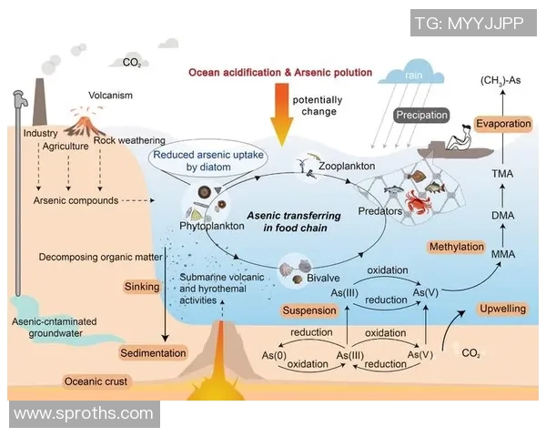 冰球联赛恶意犯规趋势分析及处罚机制演变探讨